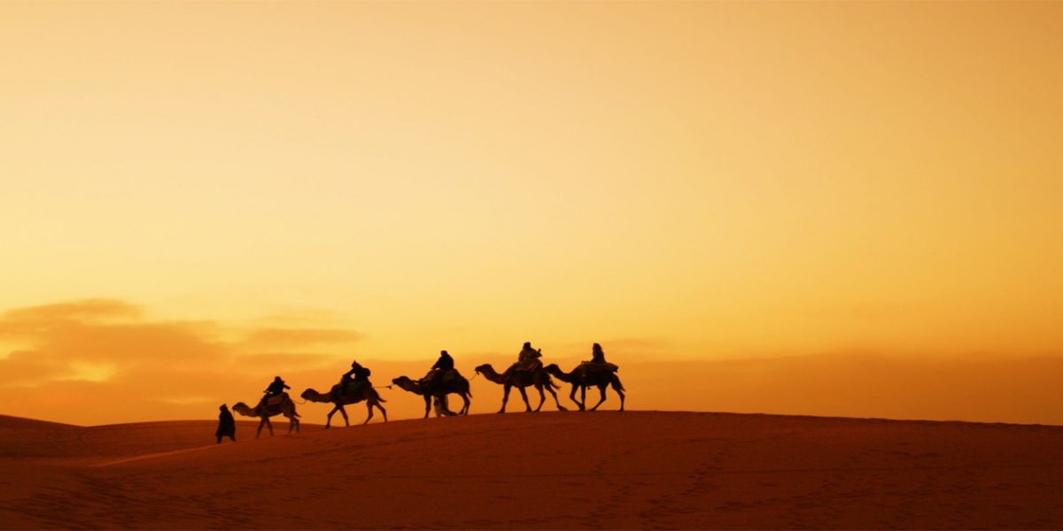 camel Ruta 8 Dias Marrakech Merzouga