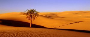 3 Días Marrakech Merzouga Desierto